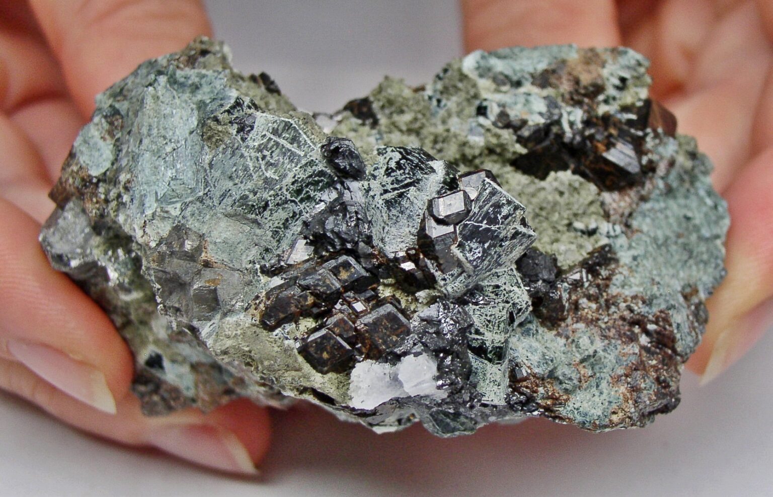 Hedenbergit auf Andradit Granat von Breitenbrunn Erzgebirge Sachsen