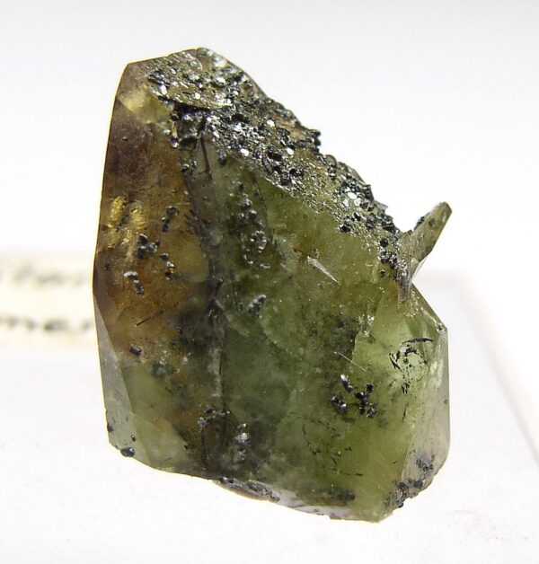 Sphen Titanit mit Chlorit Amertal Pinzgau Salzburg Österreich Kristall 1,6cm