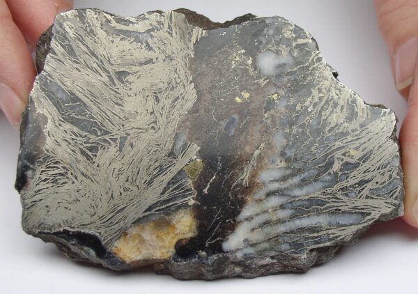 Federpyrit Pyrit in Quarz und Siderit von Neudorf Harz Sachsen-Anhalt Anschliff